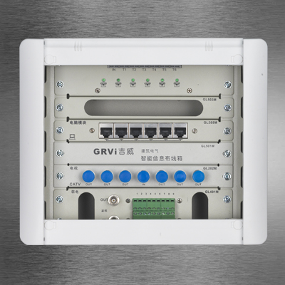 GVX1-B136